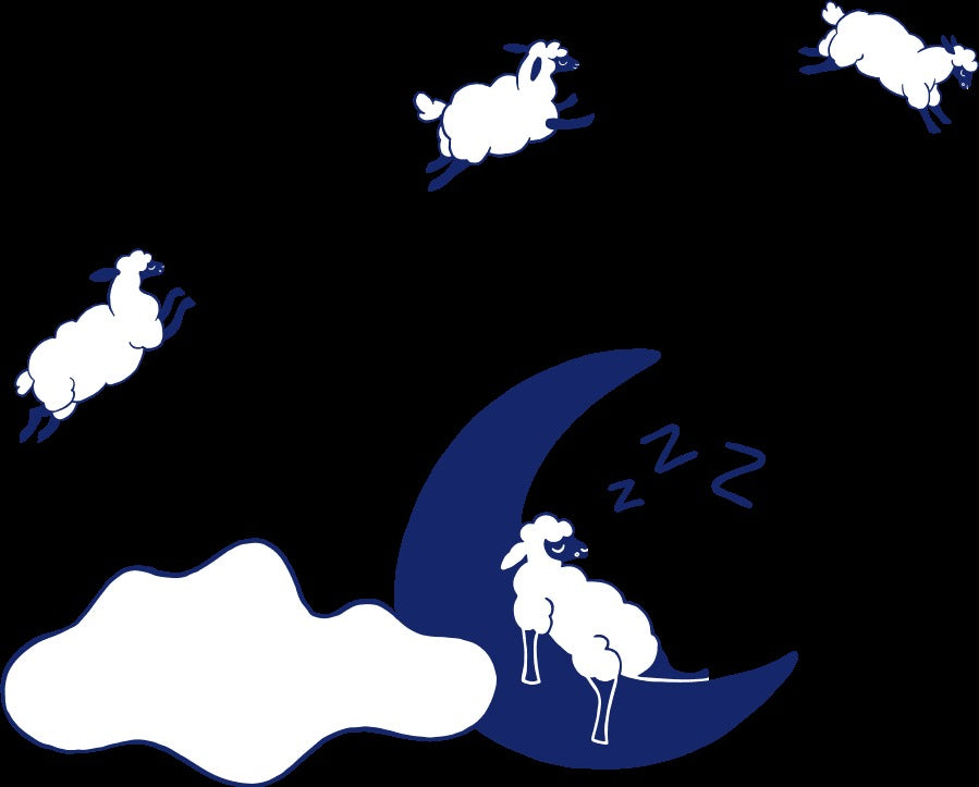 Casper Sleep