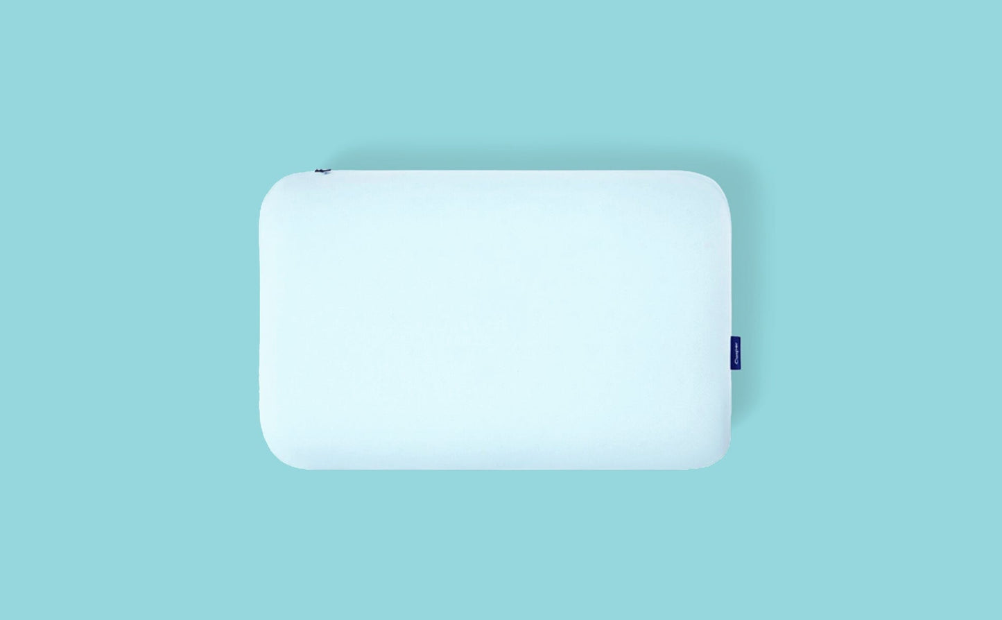 Hybrid Snow Pillow