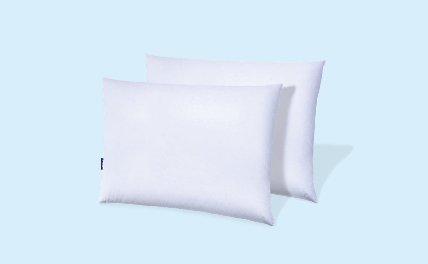 Down Pillow Double Pack