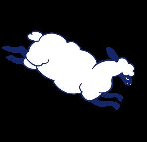 Casper Sleep